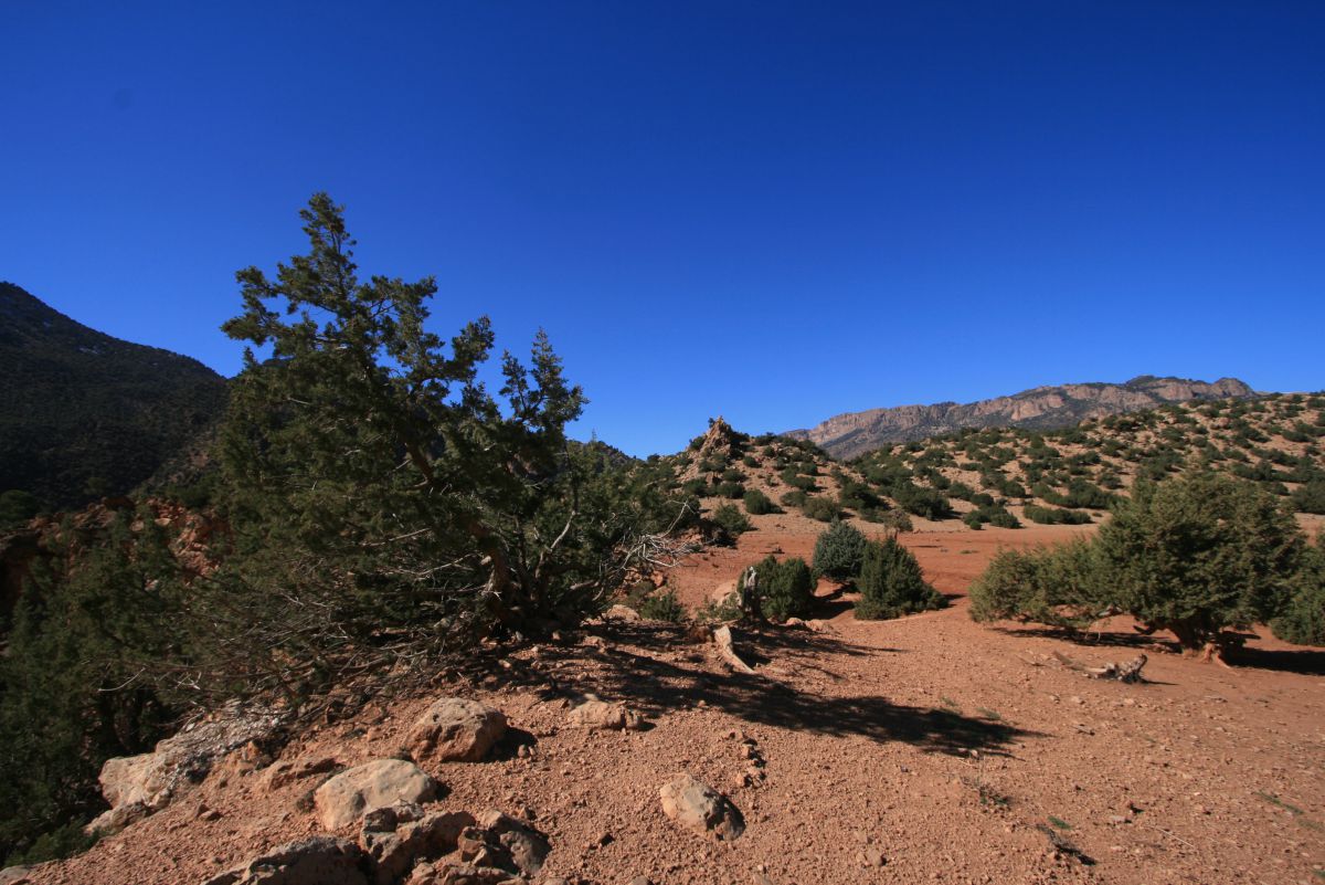 Paysages autour des gorges Jorro Paysages autour des gorges Jorro