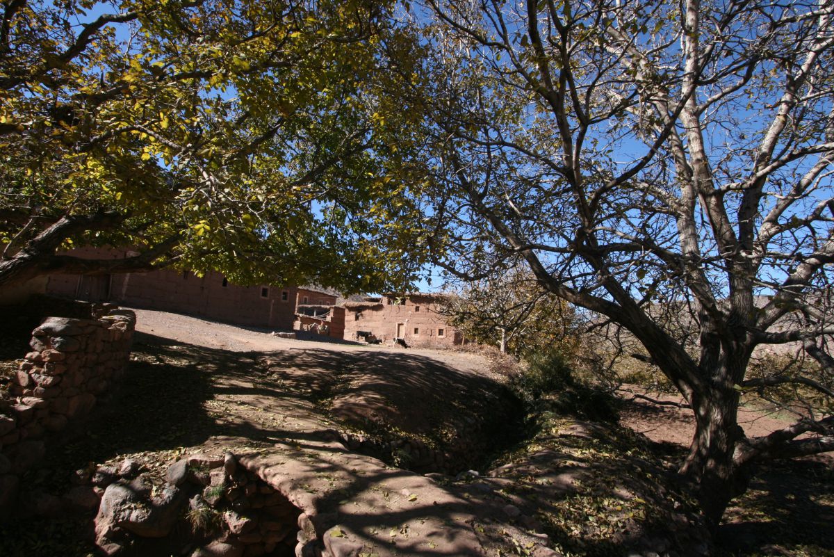 Le temps semble s’assoupir dans ces contrées d’eden. Village d’Arous n Oufella