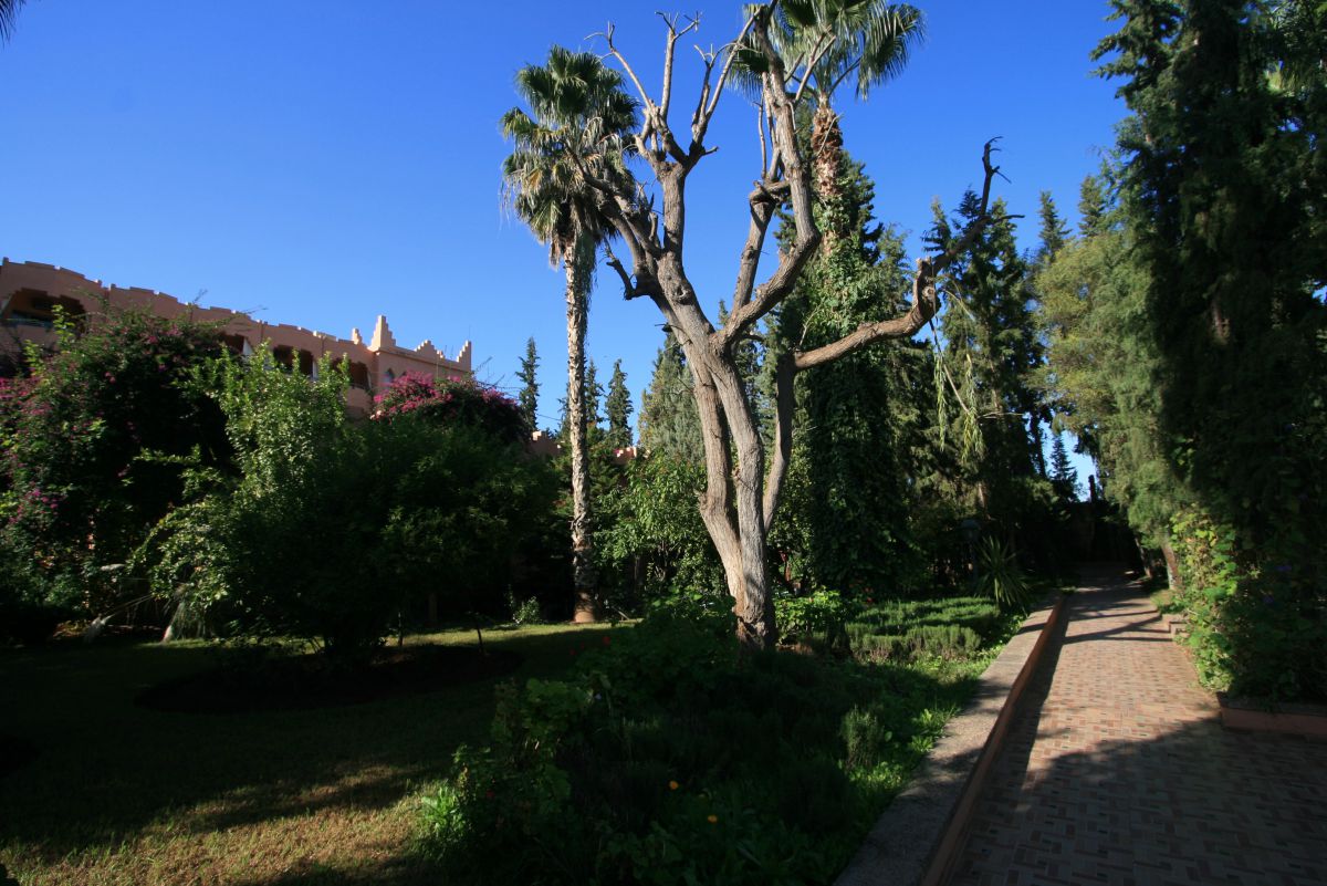 Des jardins enchanteurs où la beauté sublime se savoure aux chants d’oiseaux. Hôtel Tazerkount Des jardins enchanteurs où la beauté sublime se savoure aux chants d’oiseaux. Hôtel Tazerkount