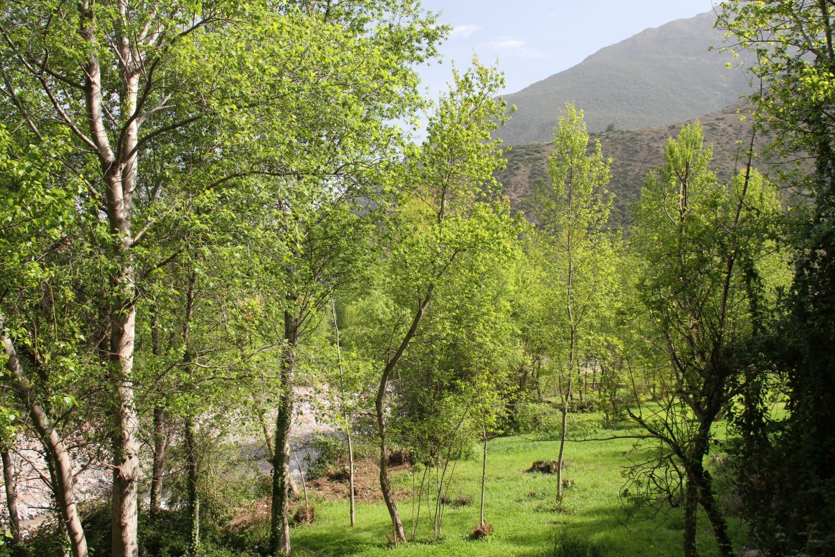 Vestige de la première mosquée Almohade.